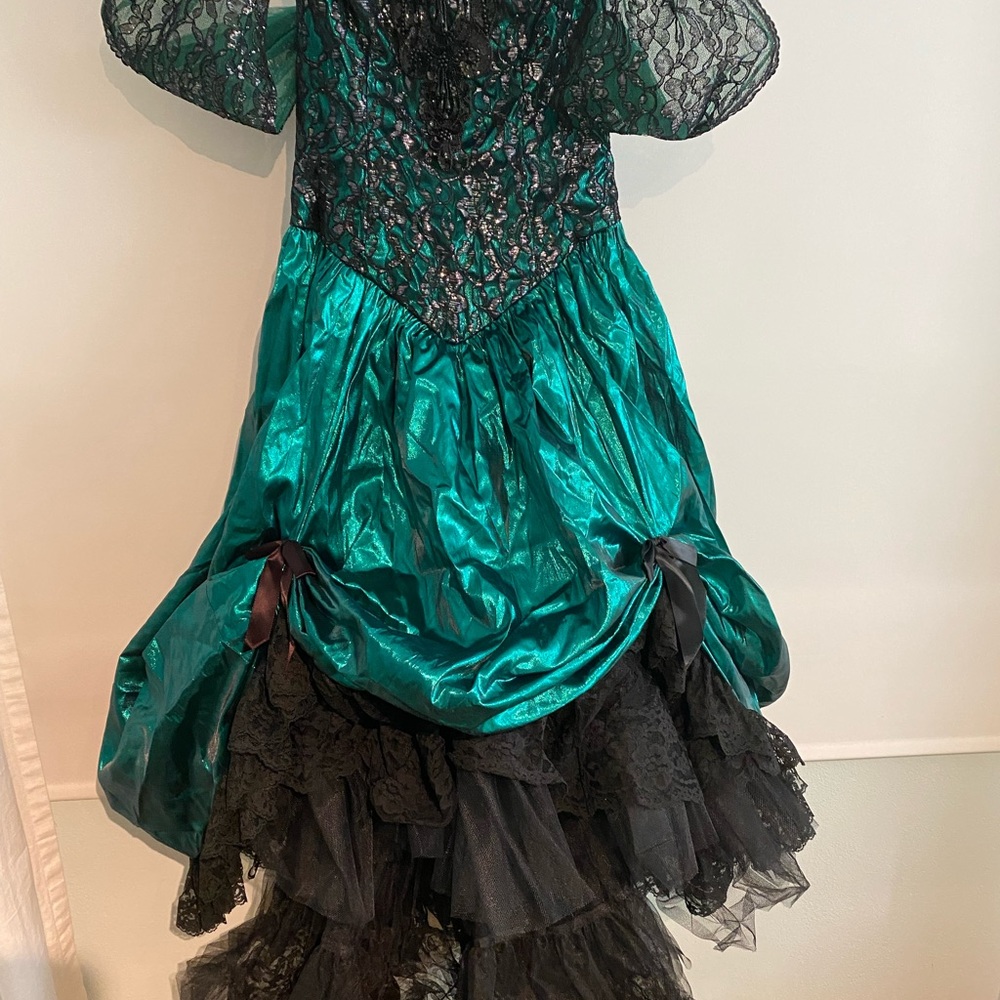 Incredible vintage Loralie dress size 12